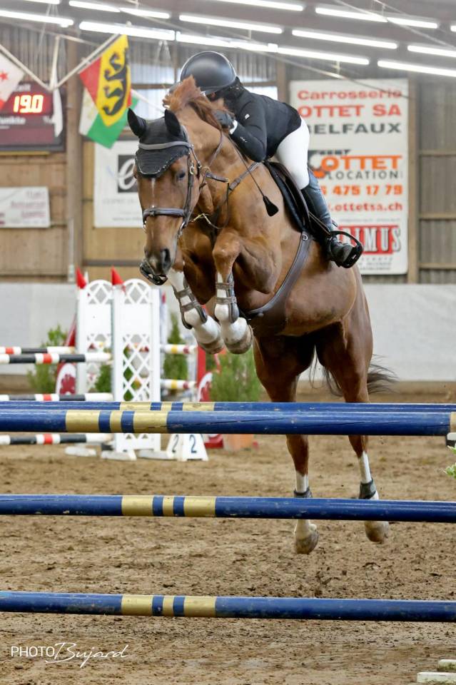 Super Jument à vendre, gros moyen + cœur énorme 