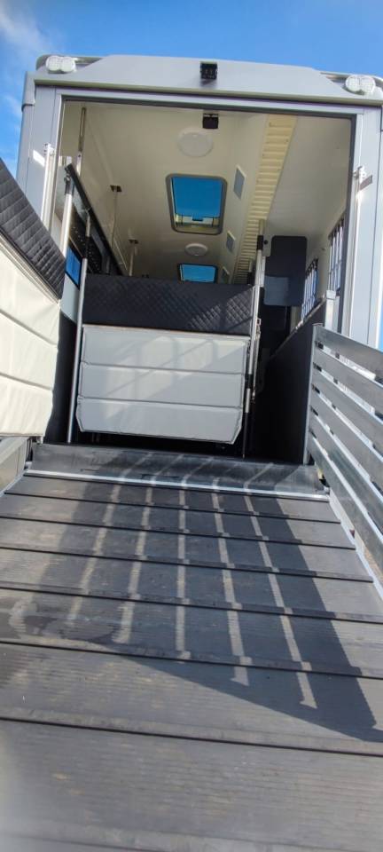 Camion MAN - TGM - pour 5 chevaux avec appartement 