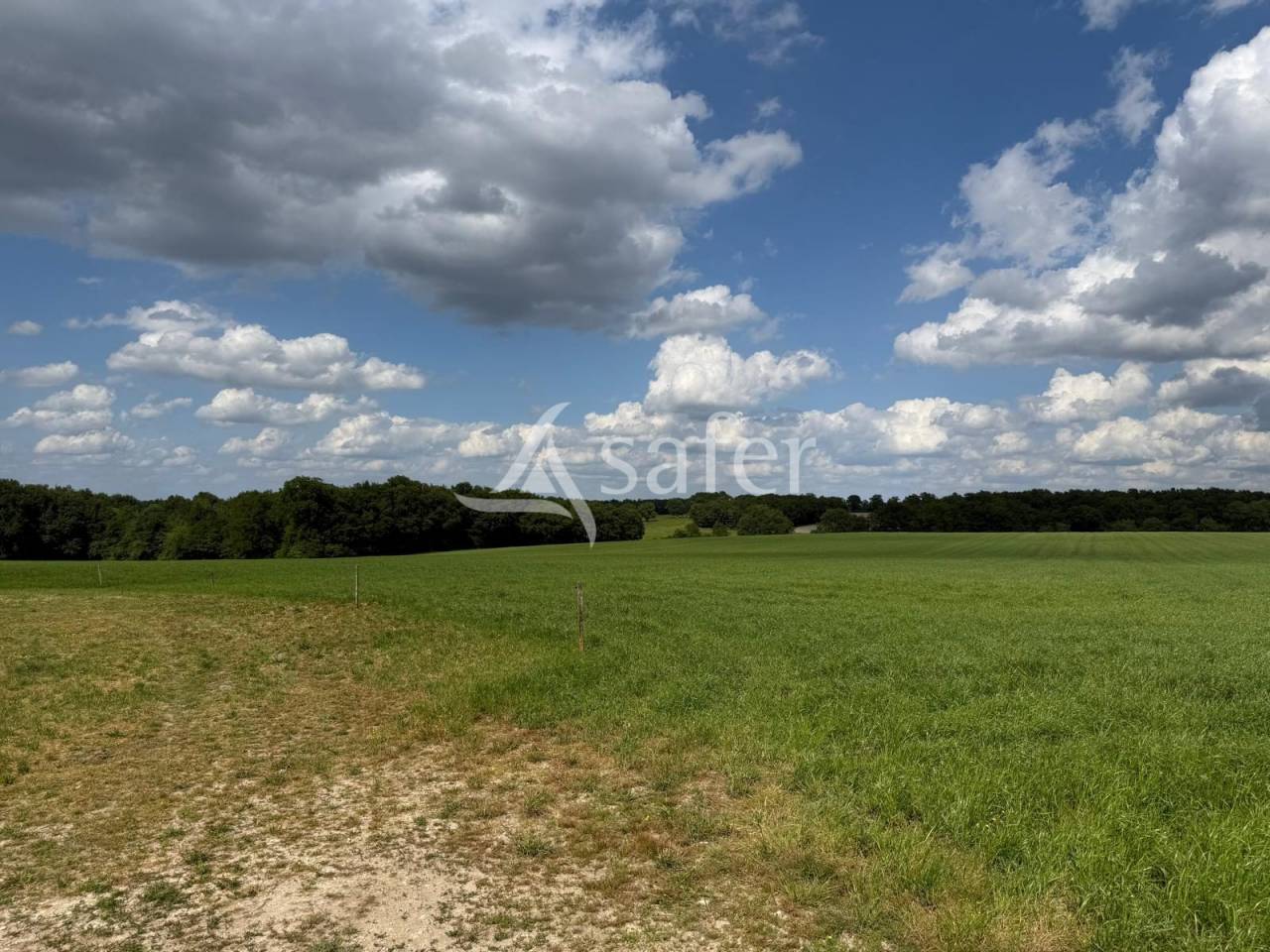 Exploitation laitière avec excellente génétique sur 142 ha de