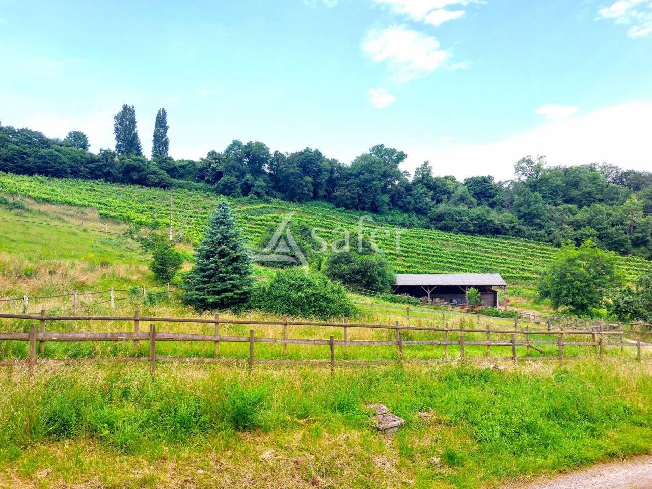 Propriété agricole avec écurie proche de Pau