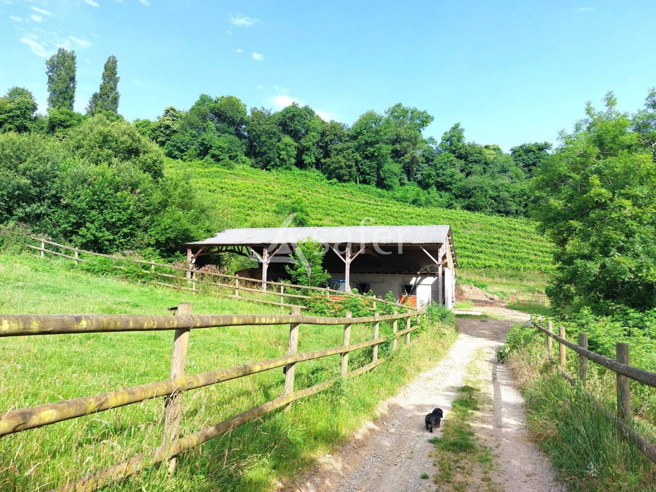 Propriété agricole avec écurie proche de Pau