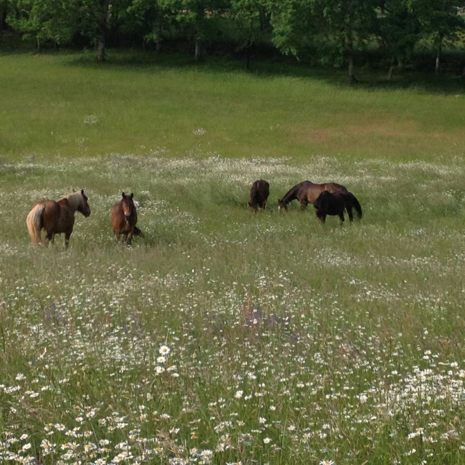 Les deux &eacute;toiles filantes