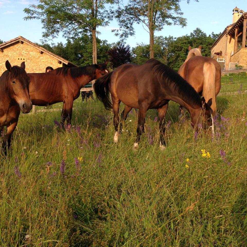 Les deux &eacute;toiles filantes