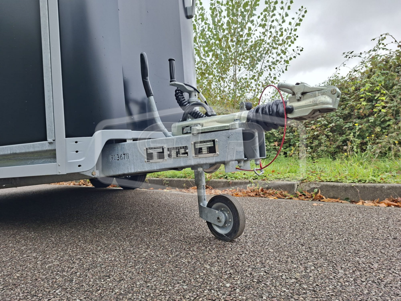 VAN IFOR WILLIAMS NEUF – HB 511 PONT PORTE ARRIERE – GRAND CHEVAUX – 2 PLACES