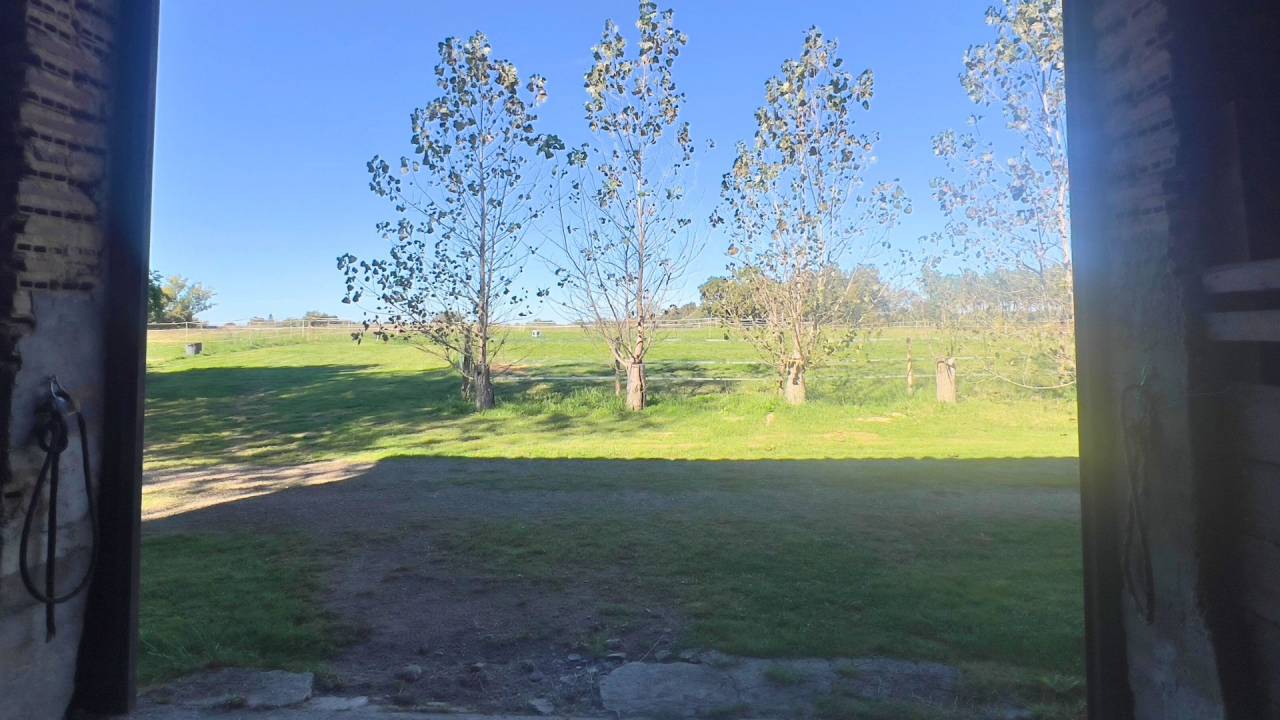 Propriété équestre de charme au cœur des Landes