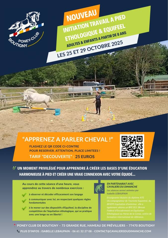 Initiation Travail à pied éthologique et Equifeel