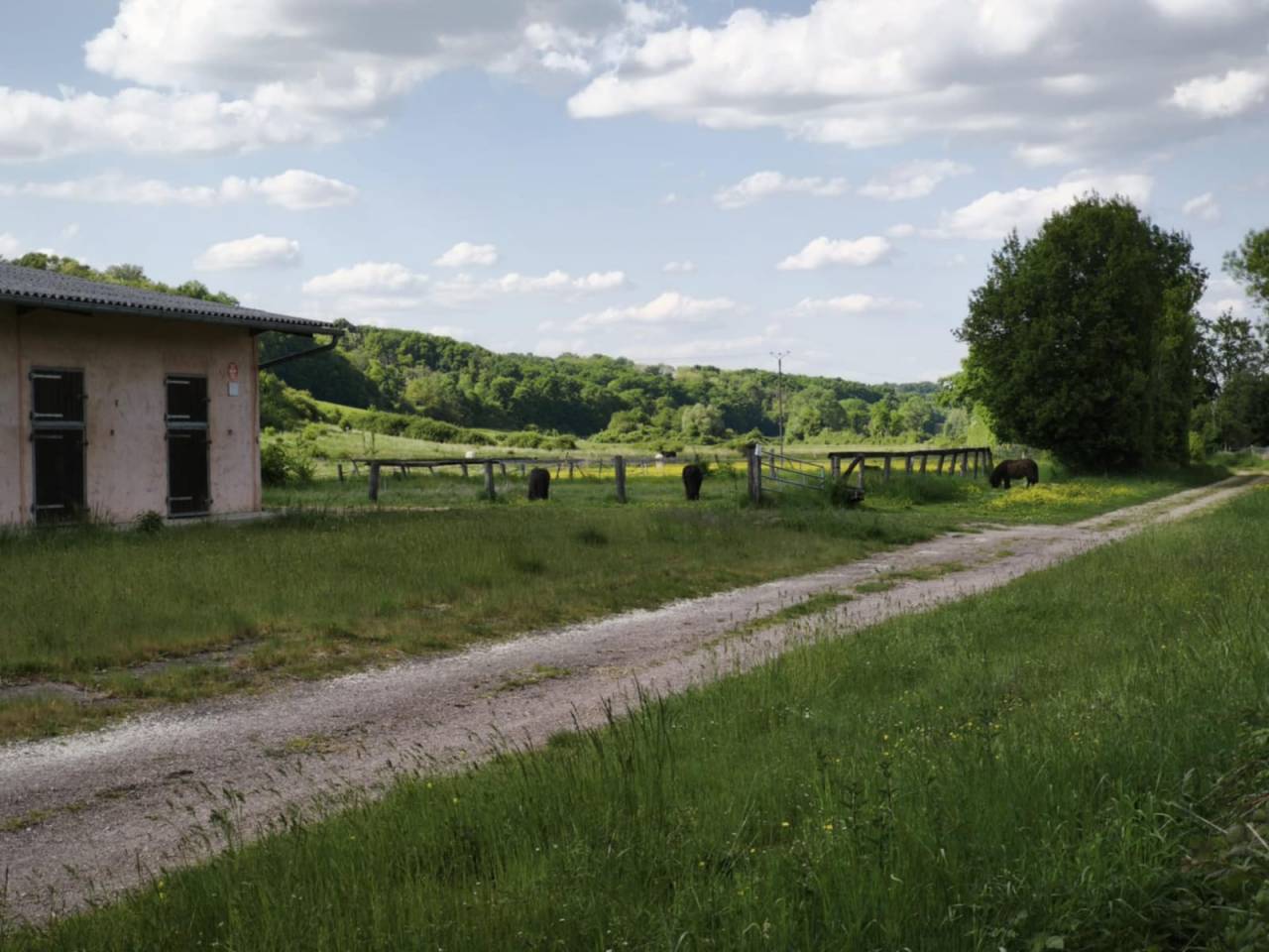 Haras d'Élevage de Chevaux, 26ha.