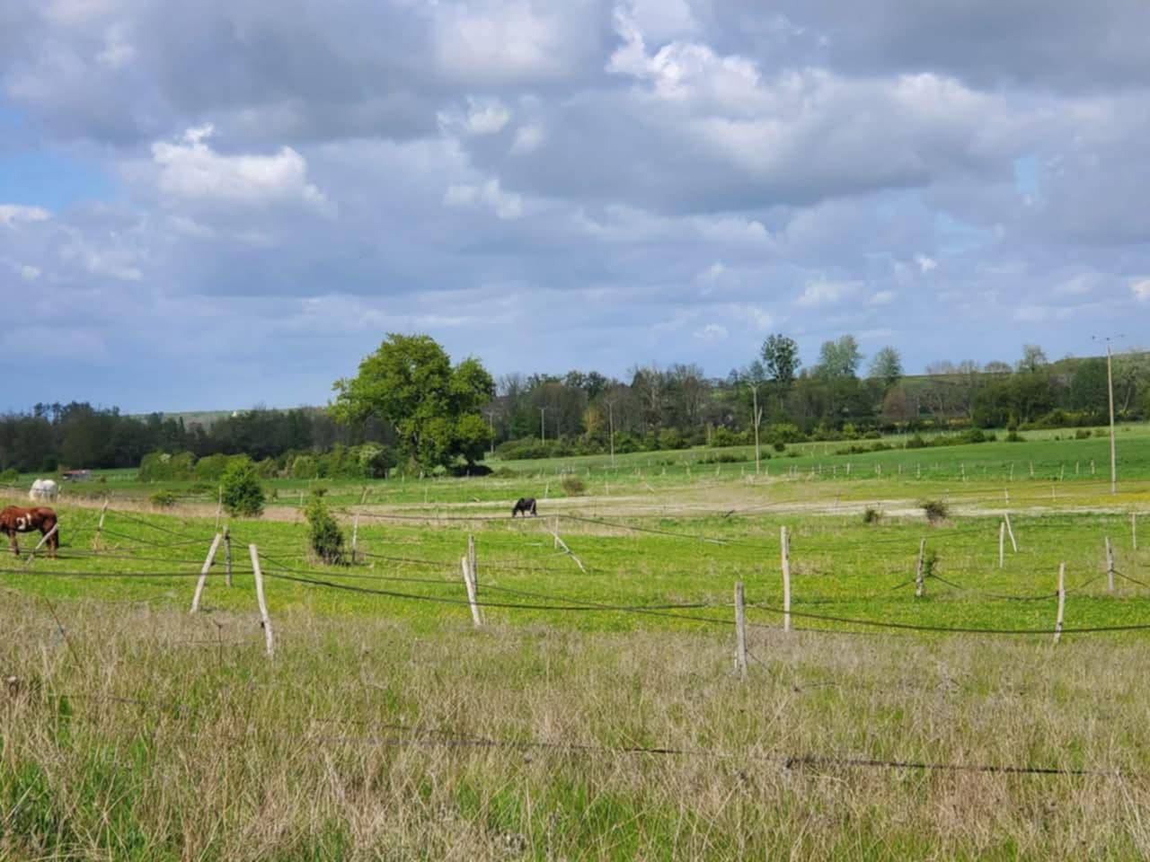 Haras d'Élevage de Chevaux, 26ha.