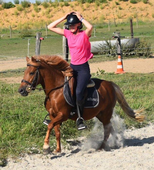 B PONY MAÎTRE D ÉCOLE 