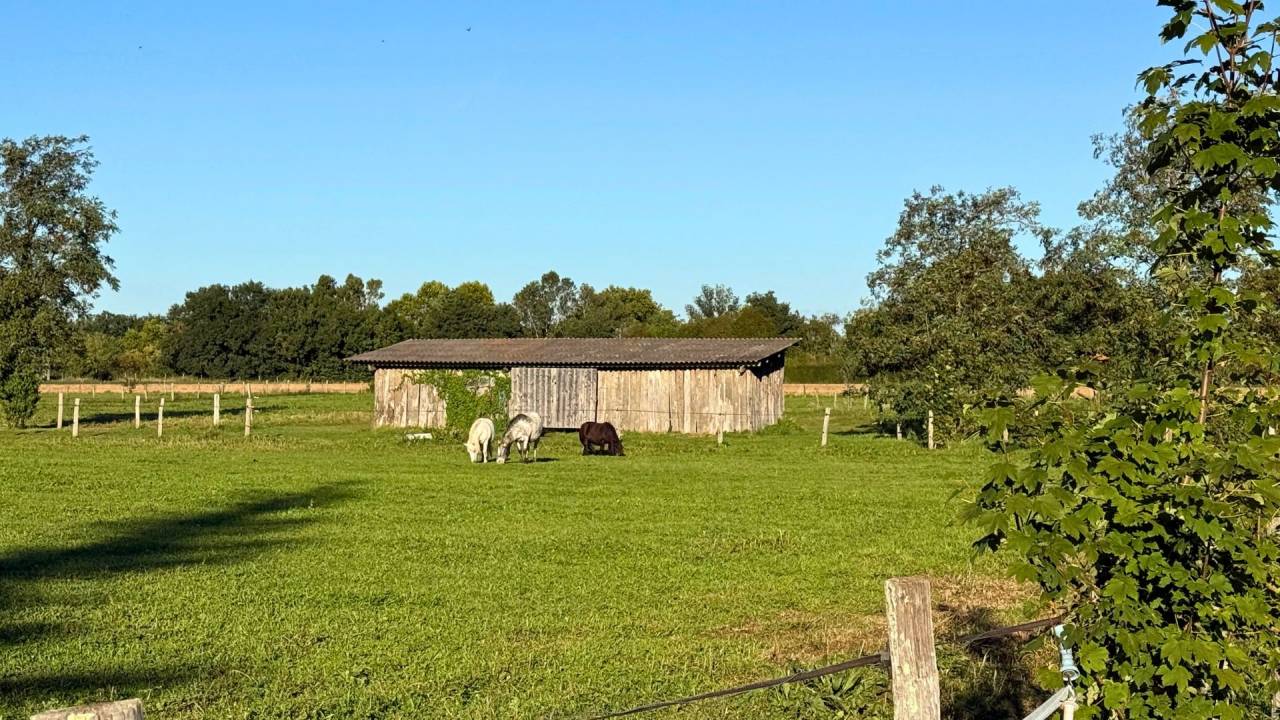 Tarn : vivez la passion &eacute;questre dans un cadre paisible