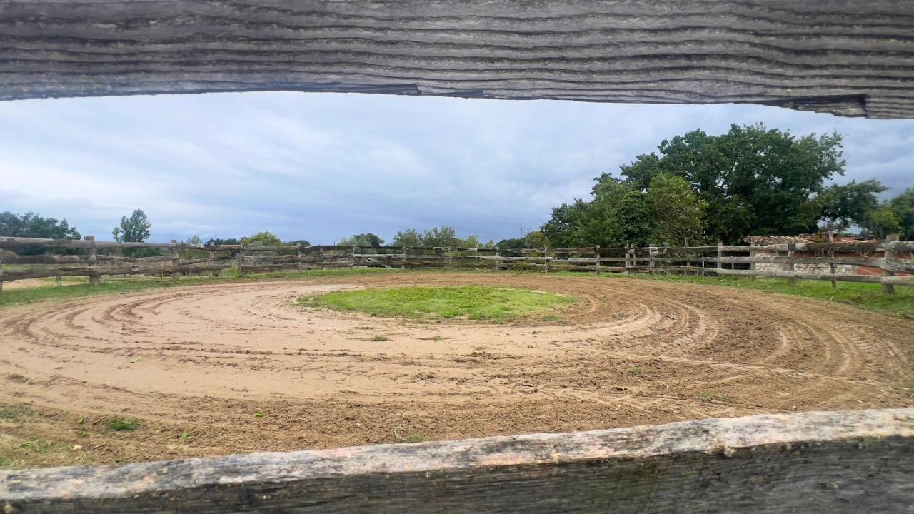 Tarn : vivez la passion &eacute;questre dans un cadre paisible