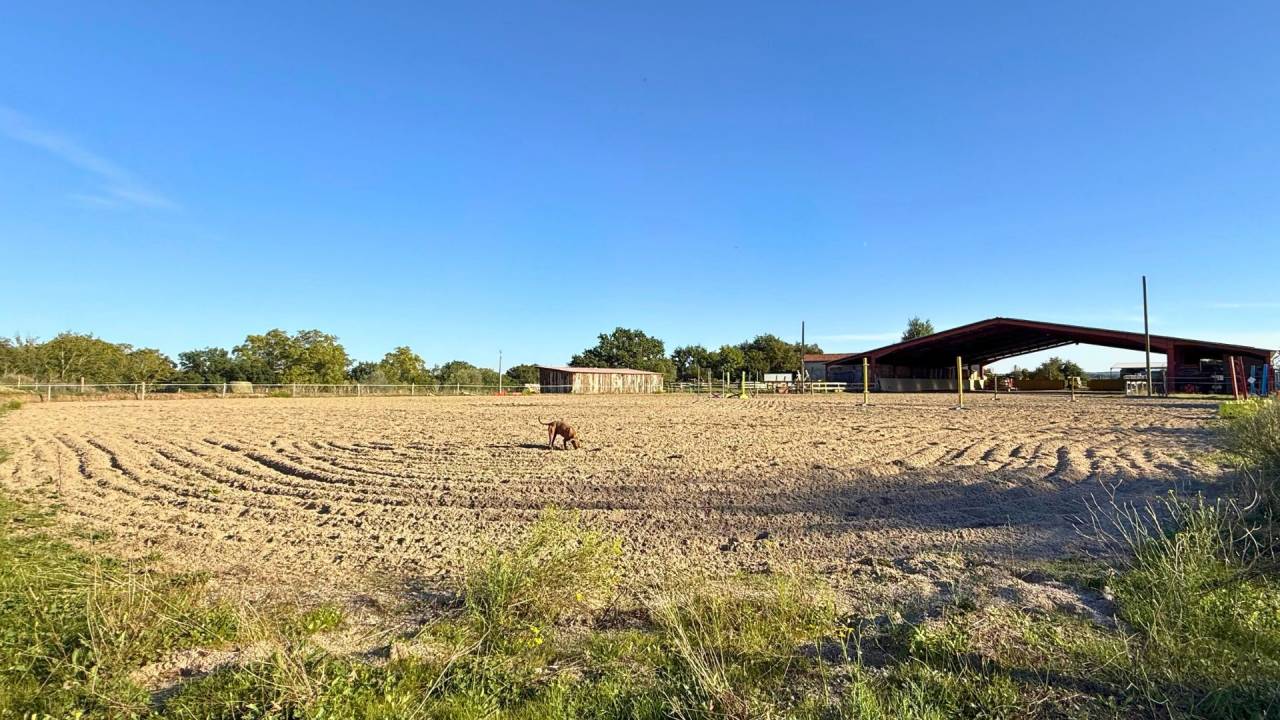 Tarn : vivez la passion &eacute;questre dans un cadre paisible