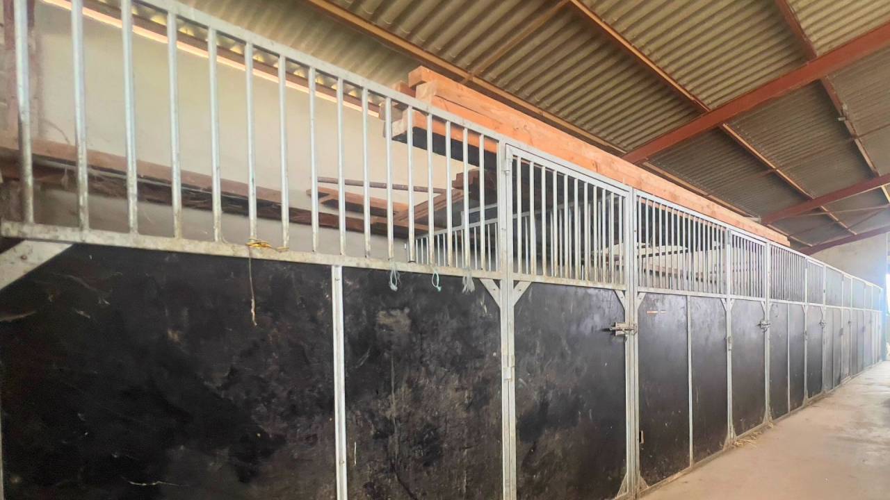 Tarn : vivez la passion &eacute;questre dans un cadre paisible