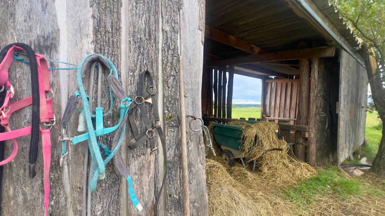 Tarn : vivez la passion &eacute;questre dans un cadre paisible