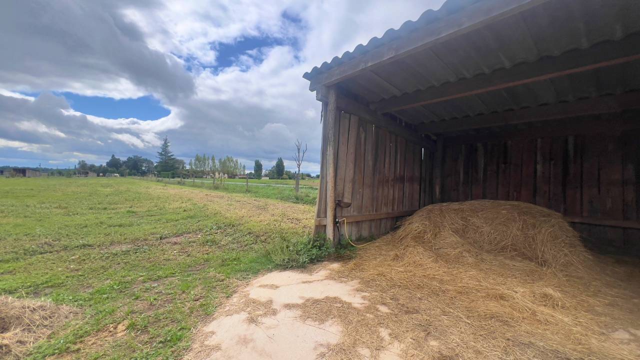 Tarn : vivez la passion &eacute;questre dans un cadre paisible