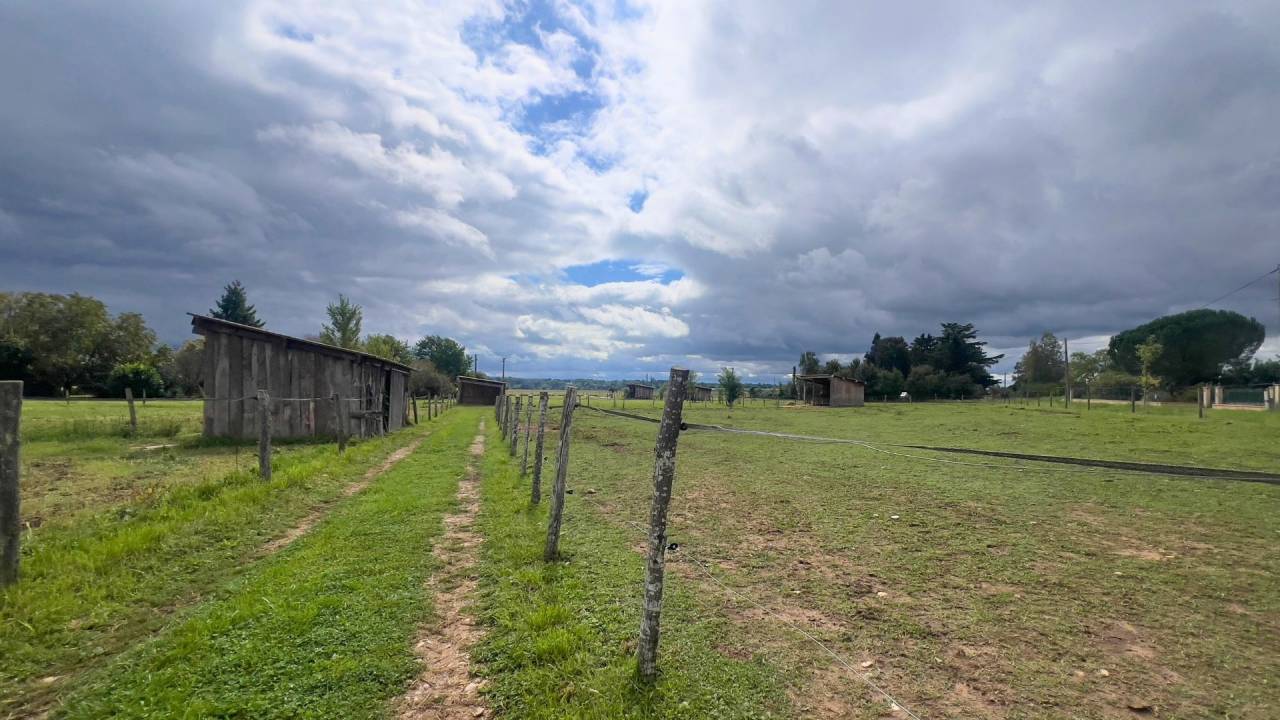 Tarn : vivez la passion &eacute;questre dans un cadre paisible