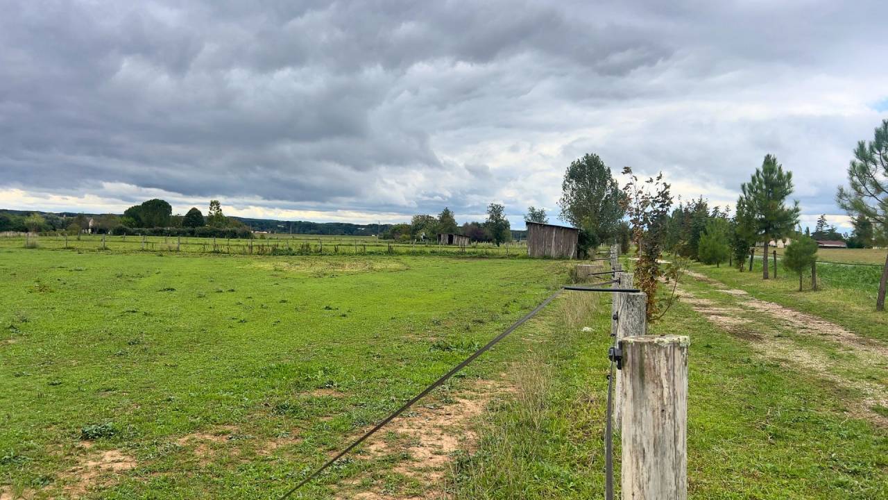 Tarn : vivez la passion &eacute;questre dans un cadre paisible