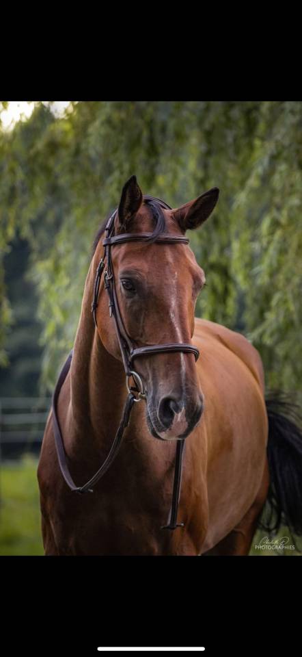 Propose demi pension 