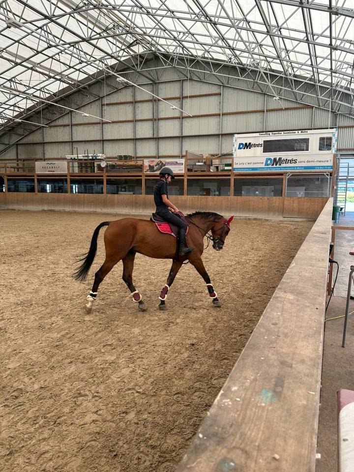 Propose demi pension 