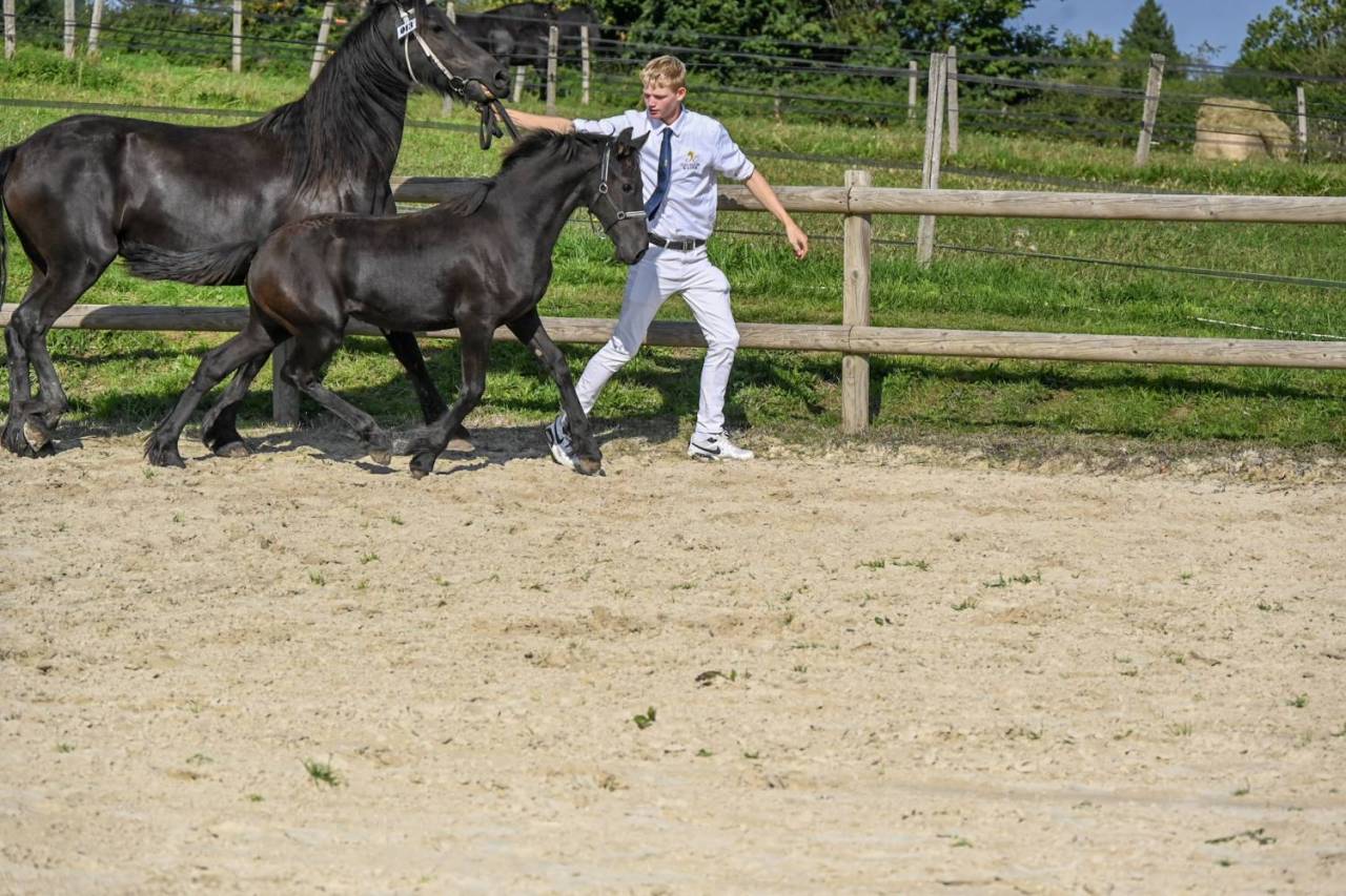 Fayleen Paige d’Ambène (Paige x Menso 542)