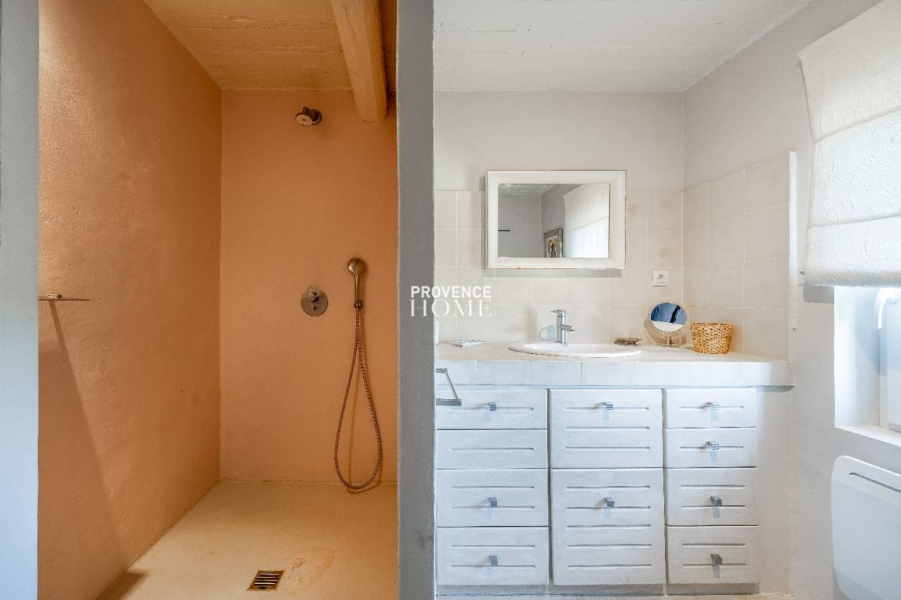 À VENDRE MAS EN PIERRES APPARENTES DU XIXè 