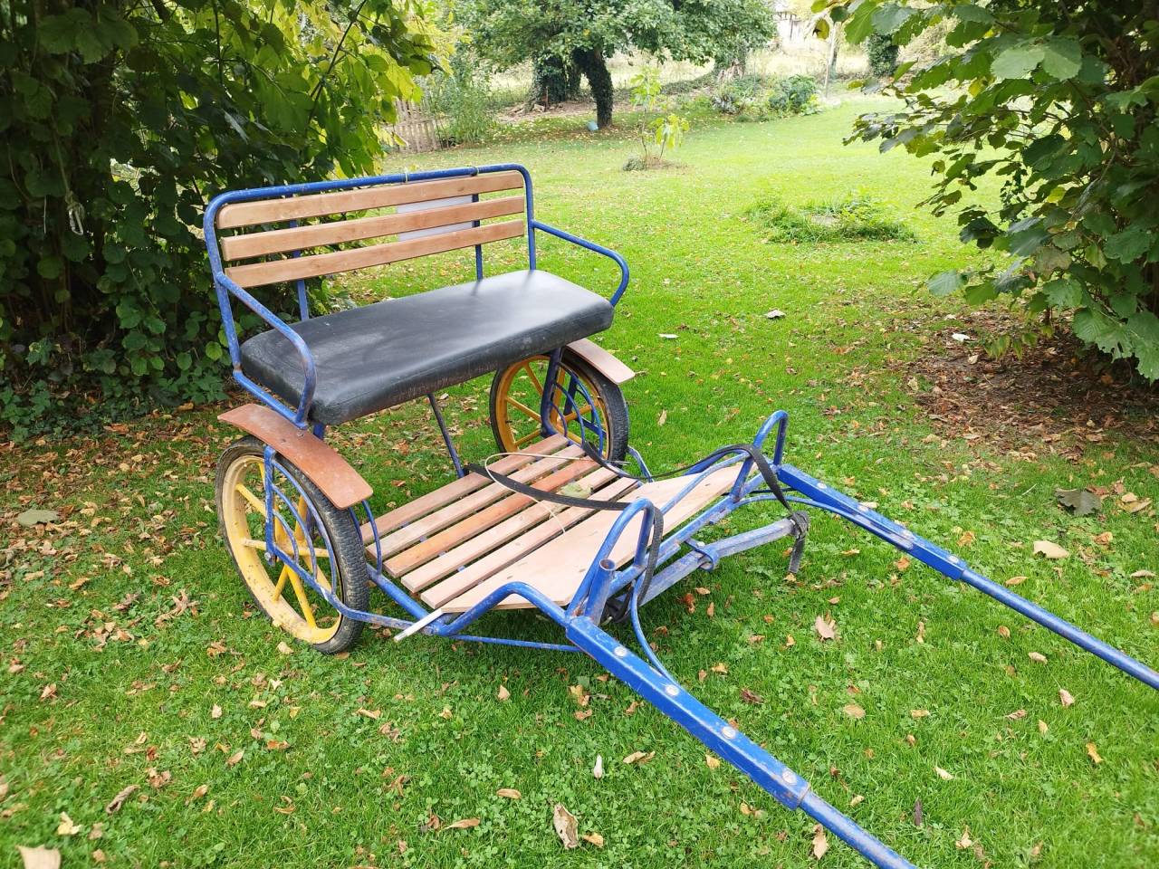 Voiture attelage &acirc;ne ou poney 