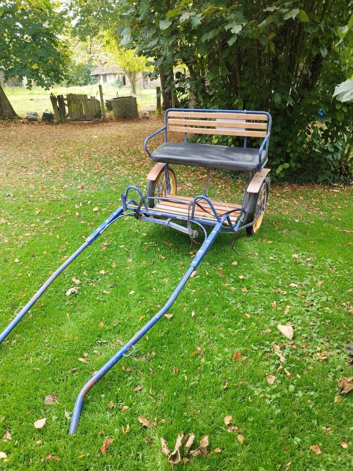 Voiture attelage &acirc;ne ou poney 