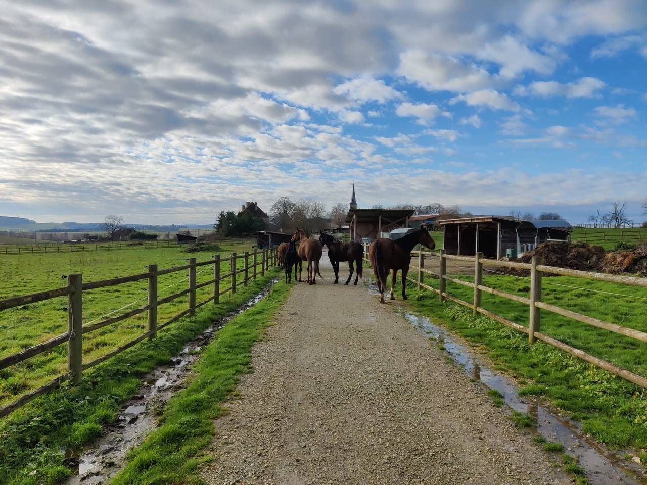 Conception Propriété équestre - Achat ou coopération  