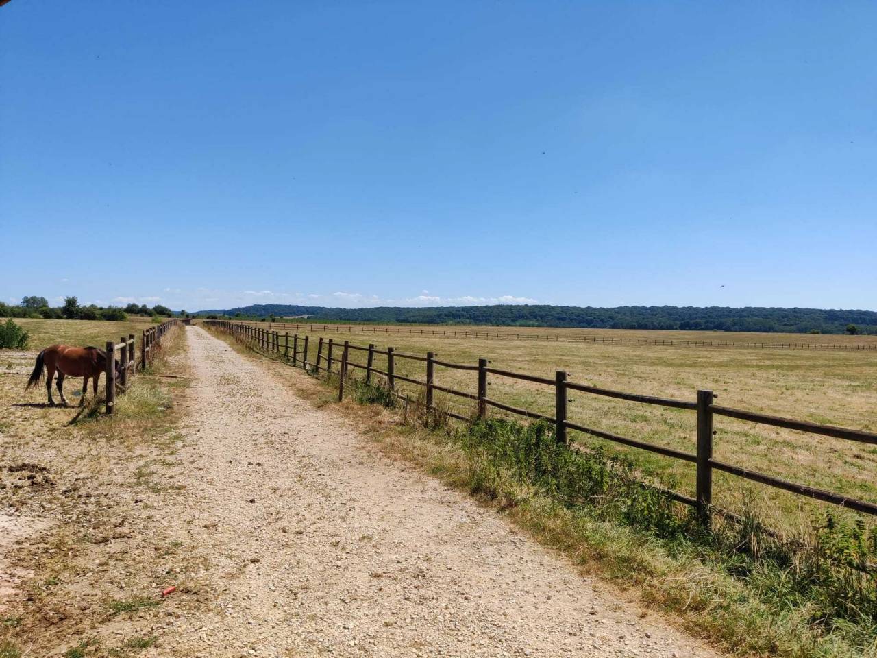 Conception Propriété équestre - Achat ou coopération  