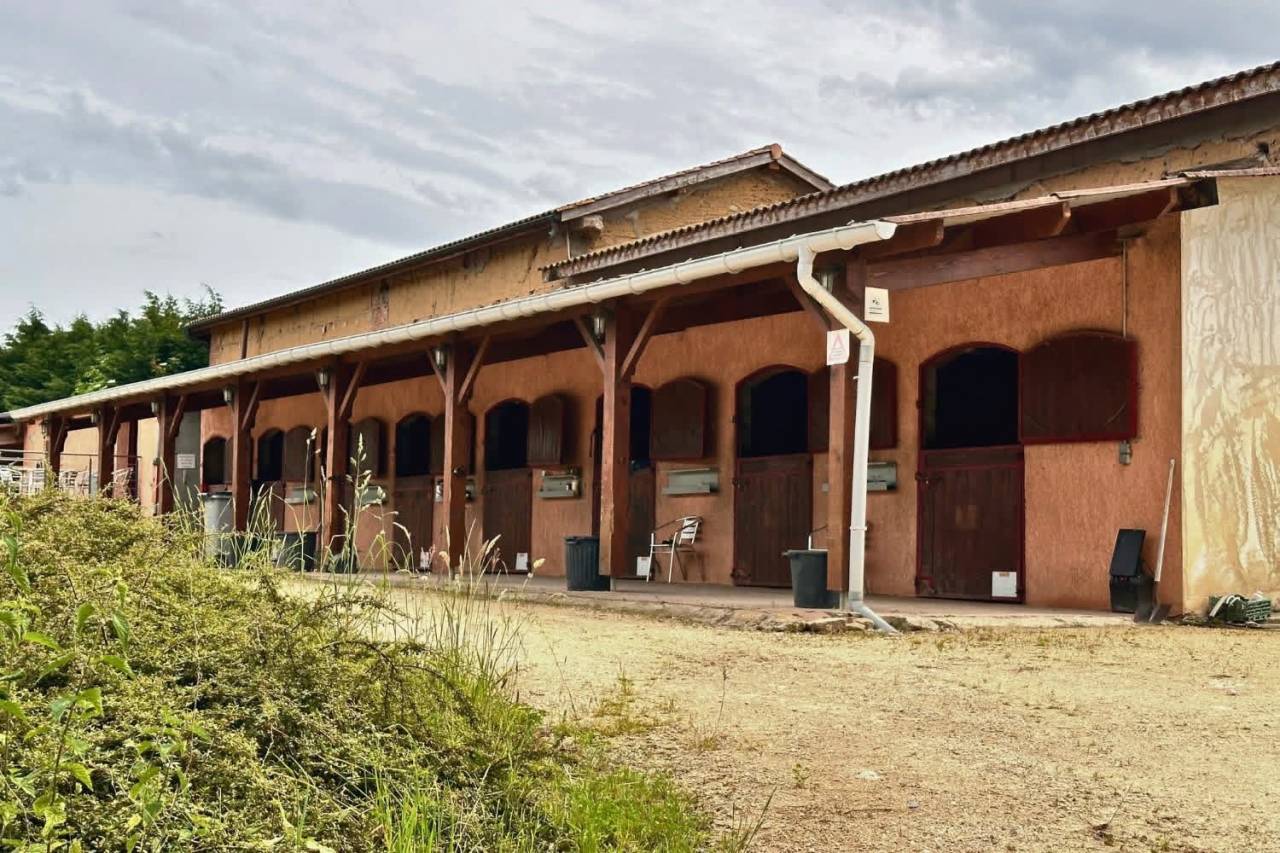 Propriété équestre clé en main de 4 hectares (01)