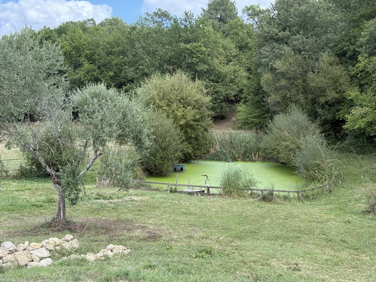 Corps de ferme rénové de 207 m² sur 4 hect