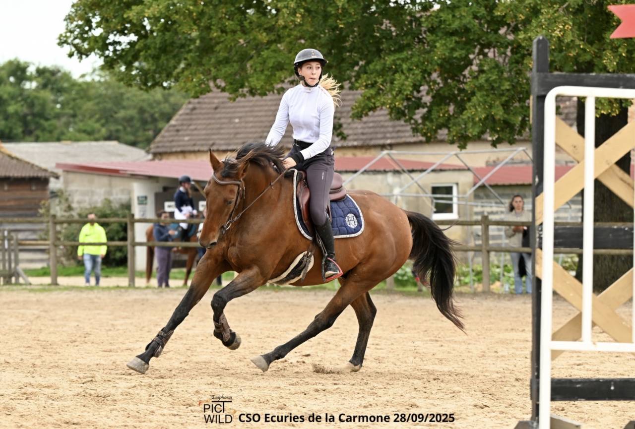 Recherche post cavalier maison 