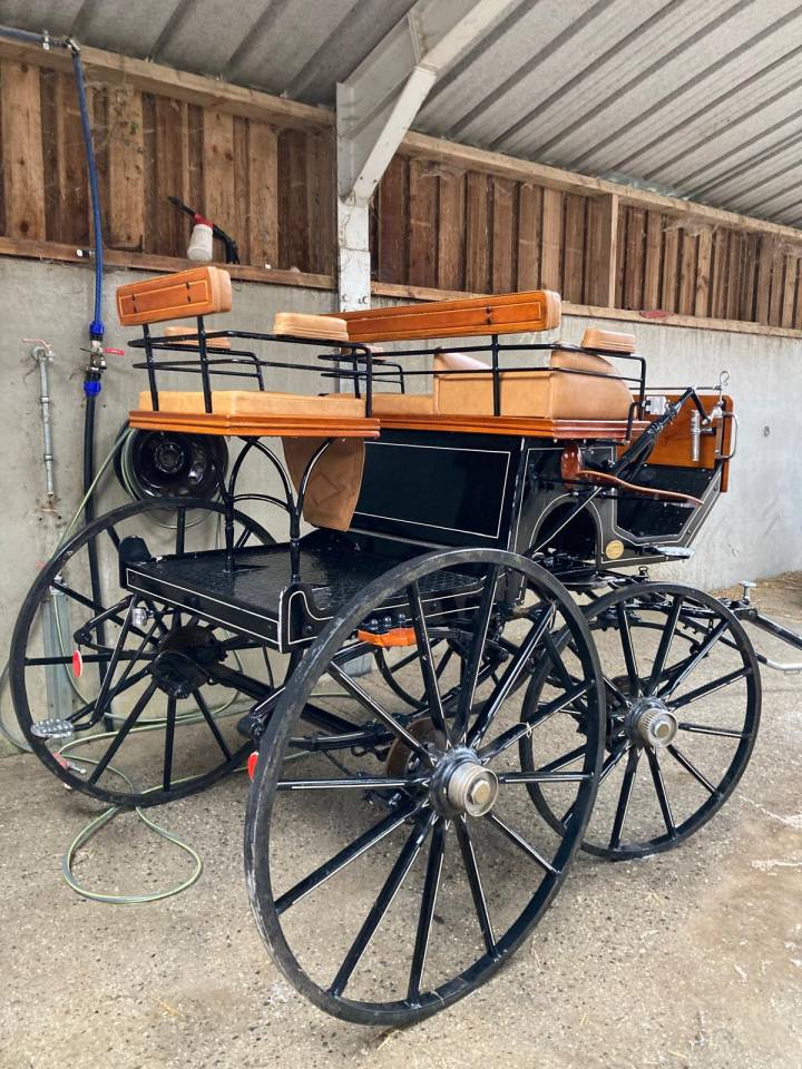 Spider 1/2 chevaux à vendre 