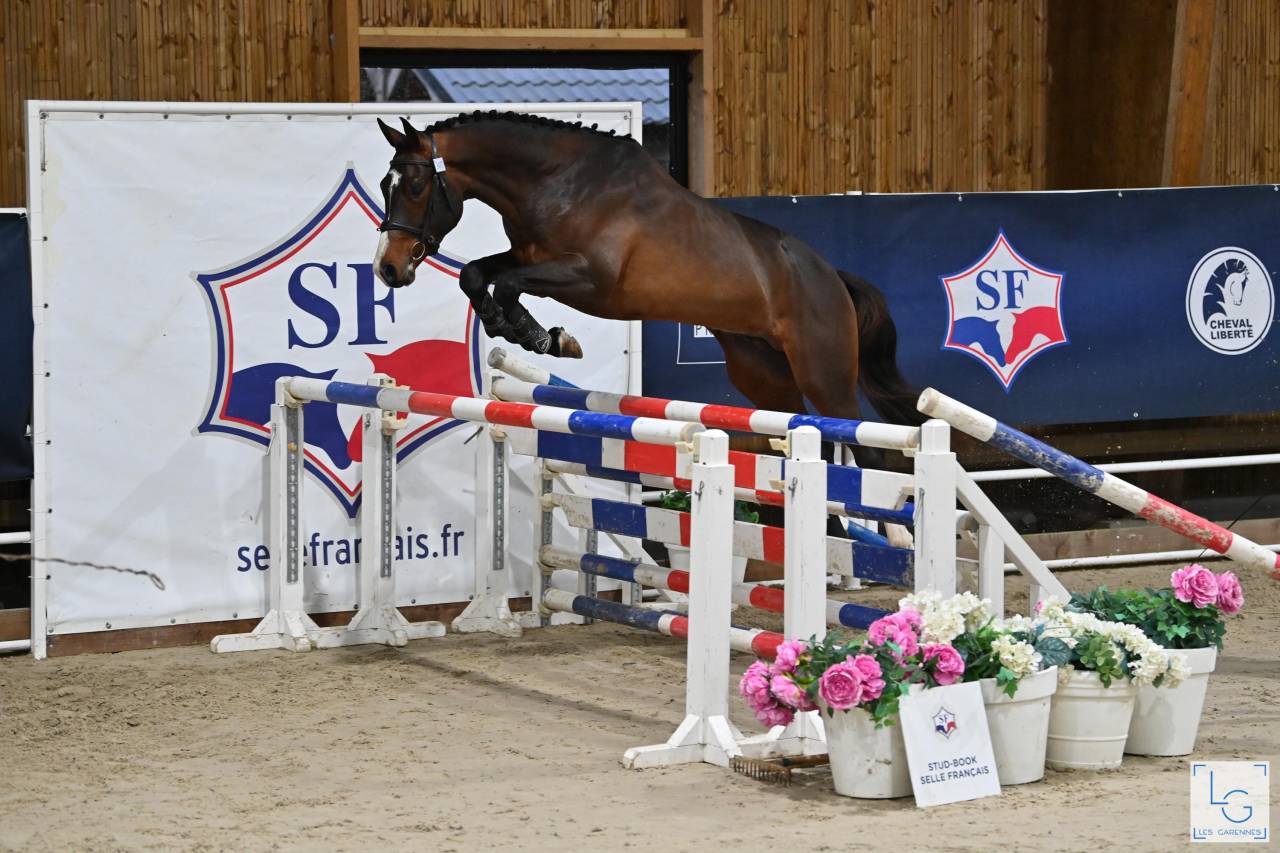 Chic SF 4 ans - 1,69m - Top origines - Style et moyens 