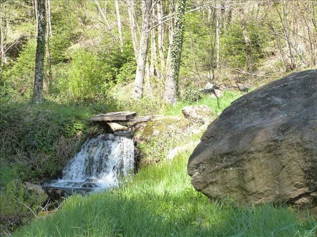 Propriété équestre idyllique