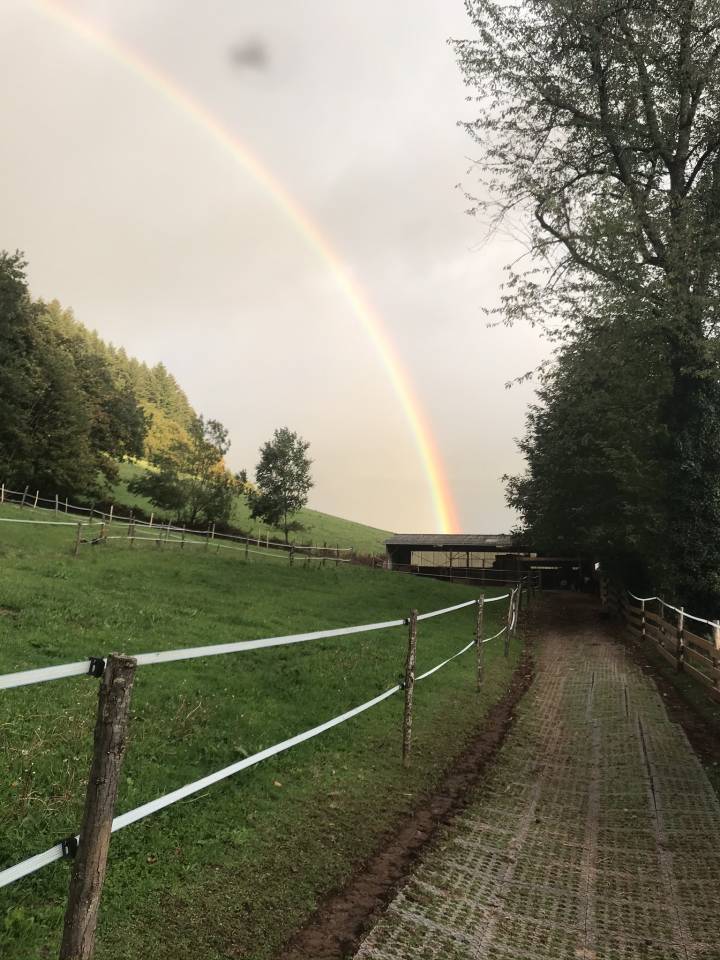 Propriété équestre idyllique
