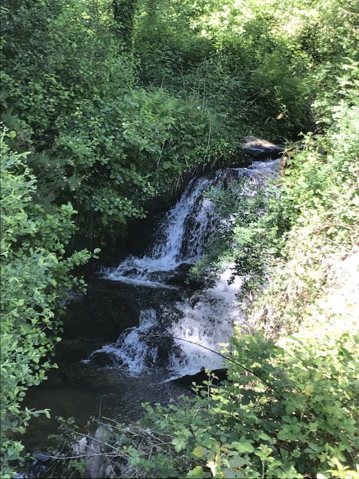 Propriété équestre idyllique