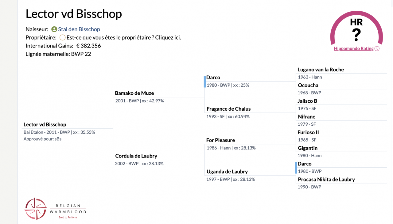 Jument BWP pleine de Lector van de Bisshop