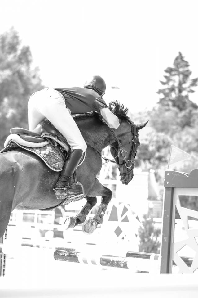 Souplesse - Confort - Look - Gentillesse 