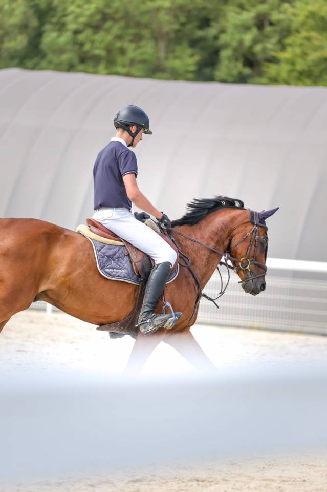 Souplesse - Confort - Look - Gentillesse 