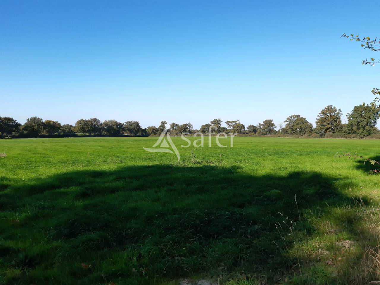 Batiments d'exploitation sur 144 ha