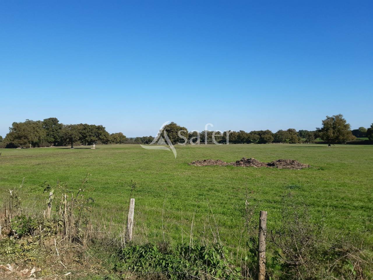 Batiments d'exploitation sur 144 ha