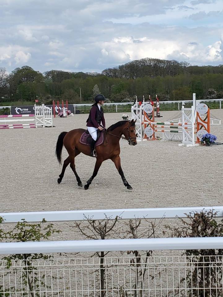 JUMENT JANIFRANE LUTH 6 ANS