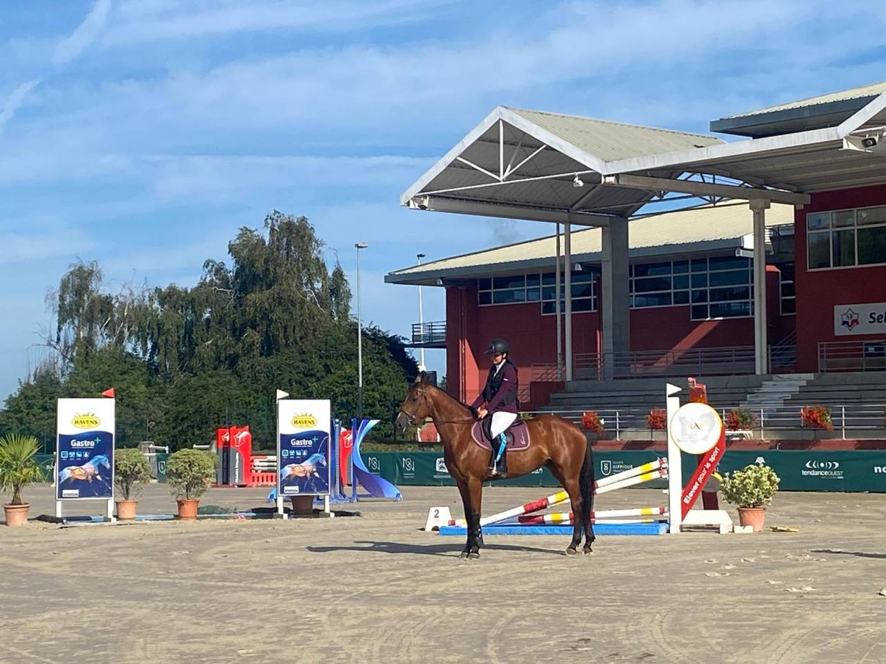 JUMENT JANIFRANE LUTH 6 ANS