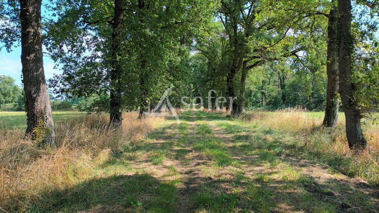 Ensemble rural sur environ 140 ha