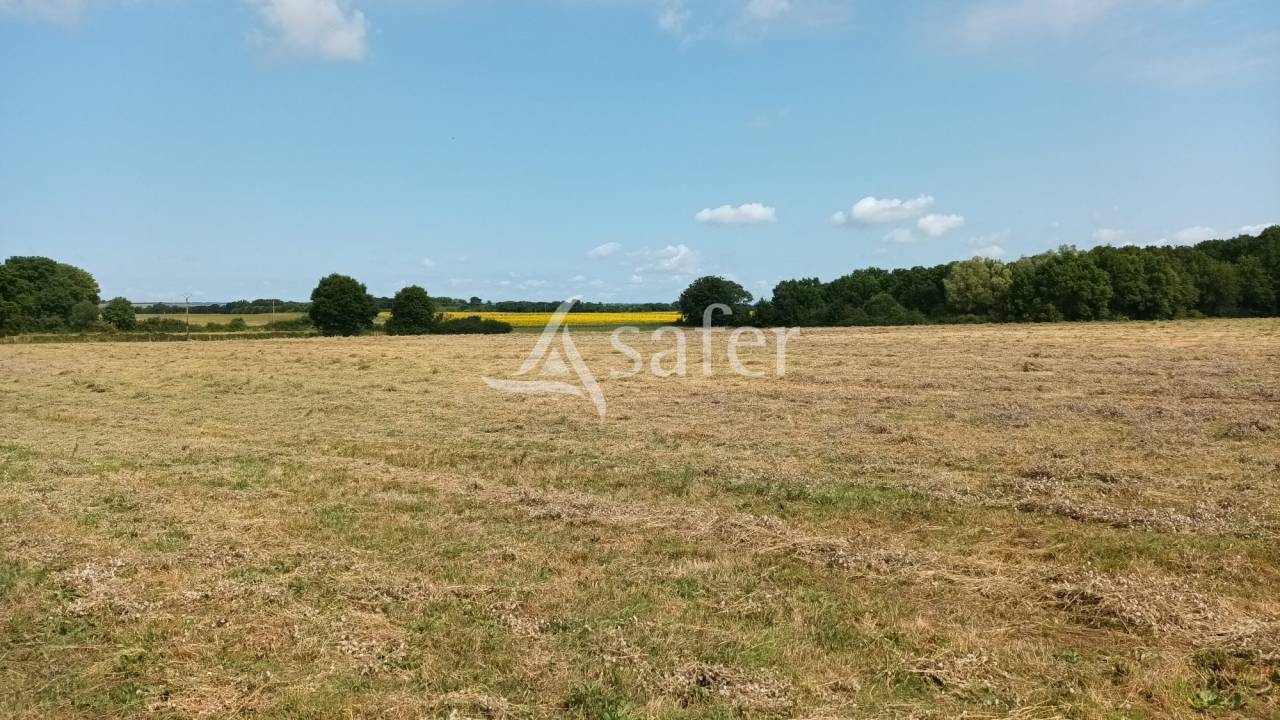 Ensemble rural sur environ 140 ha