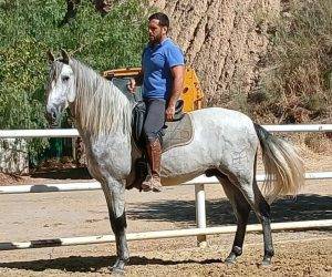 NASIR;Un Lien qui Va Au-Delà de l’Équitation
