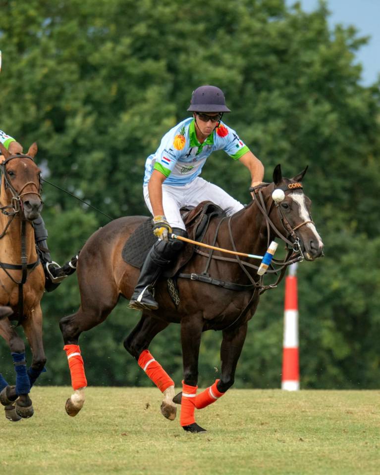 Polo Pony