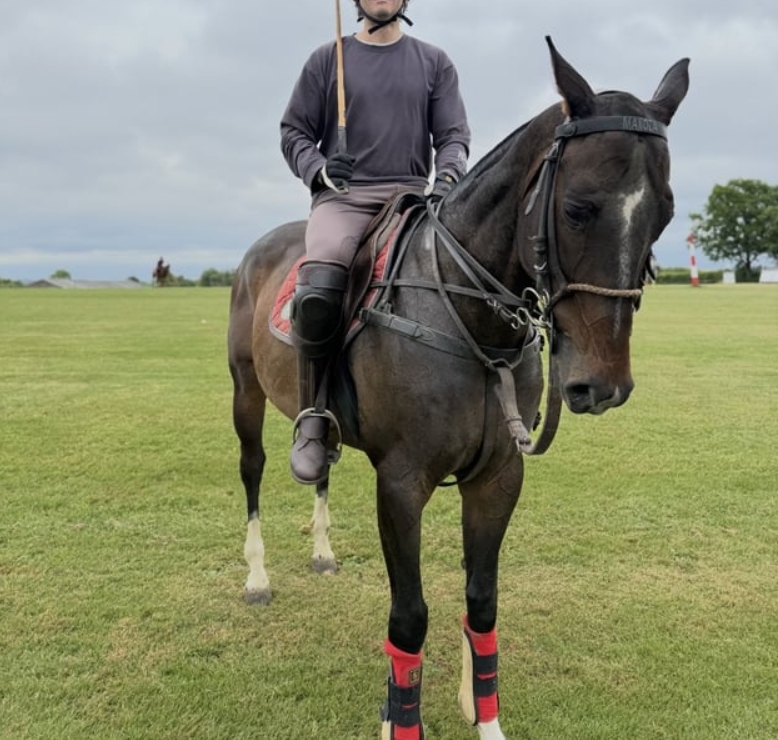 Polo Pony