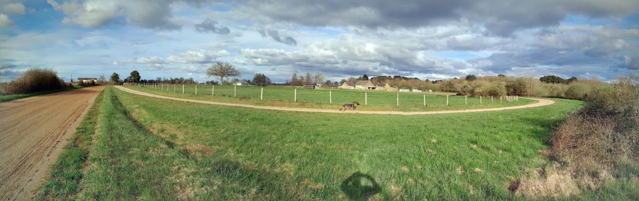 Proche du MANS haras-écurie de courses sur 10 hectares